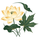Bloom & Still